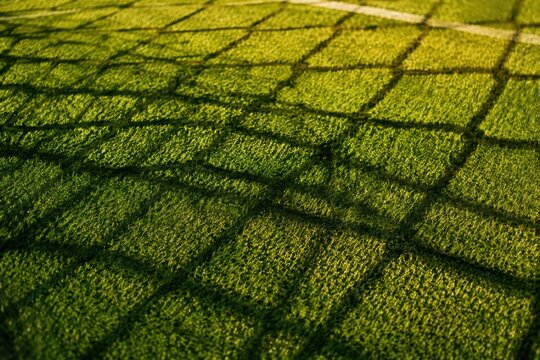 Shadows of soccer goal net cast on vibrant green grass field surface during sunny afternoon hours