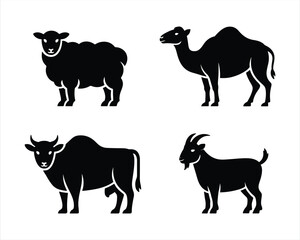 Fototapeta premium Eid al Adha animals. Qurbani animals. 