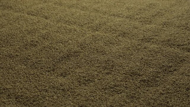 Grist of ground malt flowing in brewery