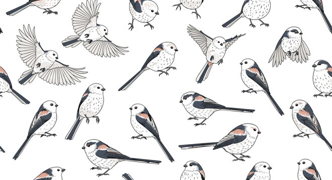 Seamless background pattern featuring small long-tailed tit birds in diverse flying and sitting poses with delicate linework on white background.