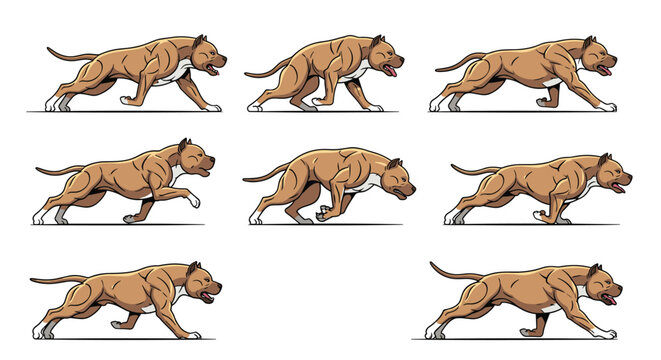 Running animation frames for a muscular pitbull dog are arranged in a sprite sheet for use in digital animation or game development.