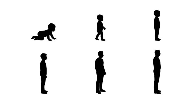 Human Silhouettes, Child Development Stages, Black Icons, Vector Set