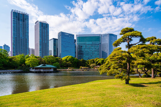 Traditional Japanese garden Hamarikyu with teahouse and modern skyscrapers in Tokyo, Japan