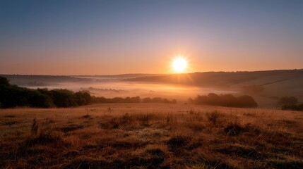Fototapeta premium A breathtaking landscape featuring the golden light of sunrise or sunset over an open field with silhouetted trees