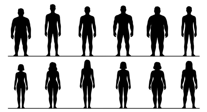 Diverse Human Silhouettes Collection, Male and Female Figures, Body Type Variety, Vector Graphics for Representation and Design