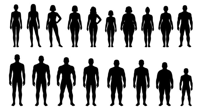 Diverse Human Body Silhouettes Collection, Male and Female Figures, Various Body Types Vector Set for Health and Lifestyle Graphics