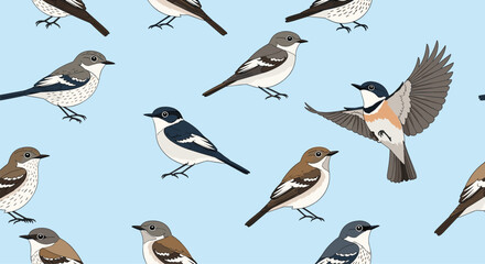 Obraz premium Different bird species seamless pattern features various small songbirds in perched and flying positions on a light blue background.