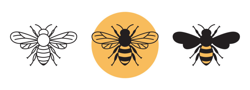 Three bee illustrations in different styles vector art insect design, cartoon realistic flat style set, isolated, nature pollination symbol