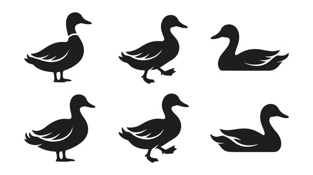 different black duck silhouettes on a clean white background, minimalist vector style.