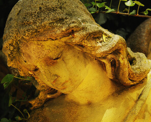 Fototapeta premium Golden light illuminating ancient angel statue in cemetery garden