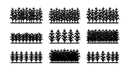 Corn Field Vector Icons, Agricultural Crop Rows, Organic Farming Plant Silhouettes, Harvest Season Graphics © Fahima