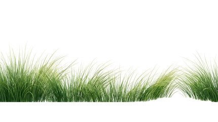Obraz premium Green grass border with wavy blades on transparent background