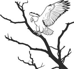 Fototapeta premium Silhouette of an Eagle Perched on a Bare Tree Branch with Wings Spread bird