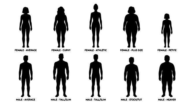Diverse Body Type Silhouettes: Female and Male Figures, Average to Plus Size, Vector Icons for Health, Fitness, and Representation