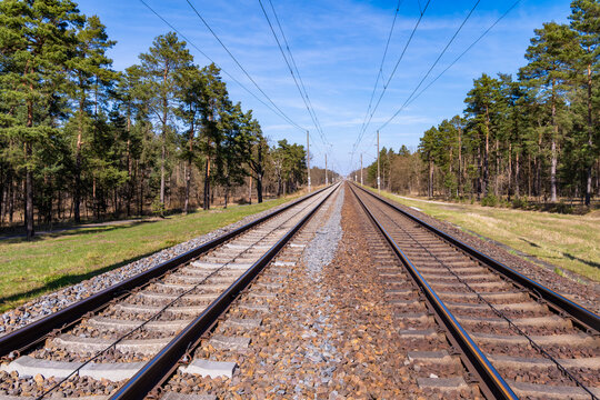 Parallel Railway Tracks Through Forest Landscape