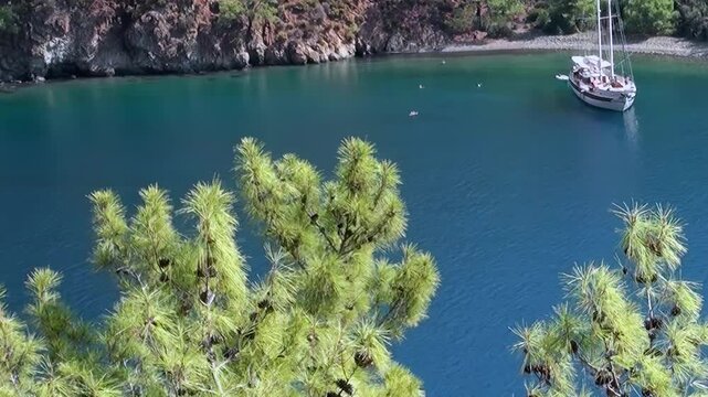 Emerald pines frame a scenic coastal view. A sailboat peacefully anchors in crystal blue waters, nestled against rugged cliffs. This sun-drenched moment captures serene nautical charm.