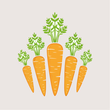 Illustration of Five Carrots with Green Tops