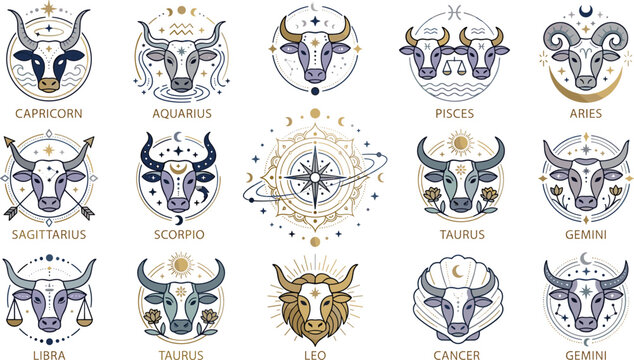 Complete Zodiac Cow Icon Set Featuring All Twelve Horoscope Signs with Celestial Moon Stars and Mystical Sacred Geometry Symbols for Astrology Graphic Designs
