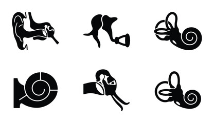 Human Ear Anatomy Icons, Auditory System Diagrams, Medical Science Vector Graphics © Nasrin