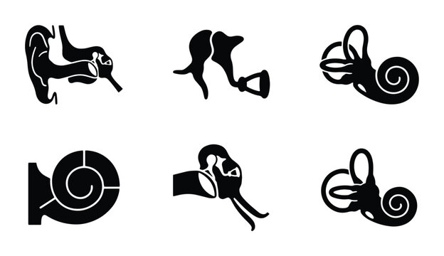 Human Ear Anatomy Icons, Auditory System Diagrams, Medical Science Vector Graphics
