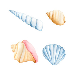 Fototapeta premium Watercolor set of various sea shells isolated on white background. Hand drawn marine underwater collection for beach-themed design, summer vacation projects, tropical decor and nautical branding.
