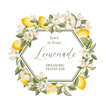 Lemon vintage frame. Italian vector background. Fresh lemon and green