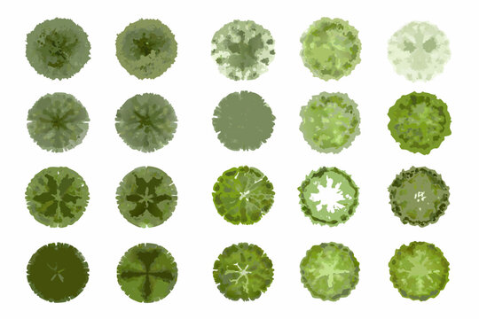 tree top view set watercolor style isolated on white