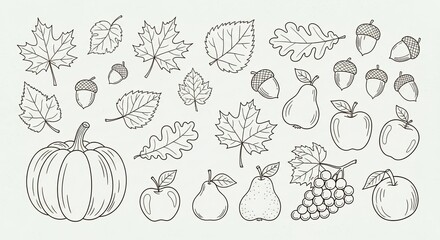 Fototapeta premium Detailed autumn harvest elements set with fruits and leaves.