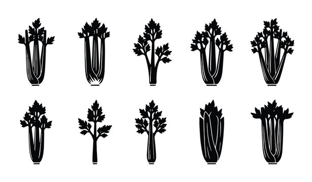 Celery Stalk Vector Icons Set, Fresh Vegetable Illustrations, Healthy Food Graphics, Organic Produce Silhouettes