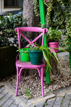 bright pink cross back chair with green and teal plant pots on seat beside green wooden shelf with ivy and pink bucket by tree trunk
