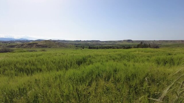 Green field lanscape of Cyprus