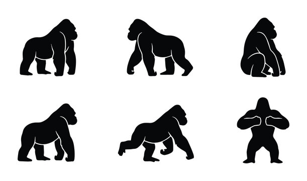 Gorilla Silhouettes Collection: Primate Poses, Wildlife Icons, Powerful Animal Graphics for Design