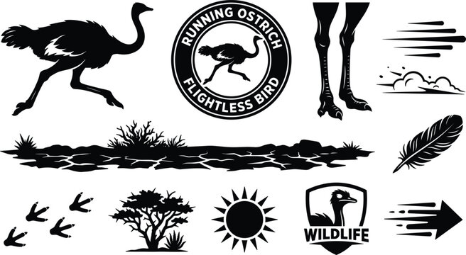 Running Ostrich Wildlife and Safari Nature Vector Elements Set