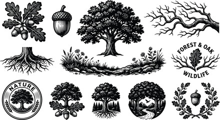 Vintage Oak Tree and Forest Nature Wildlife Vector Badge Elements Set © Afjal12