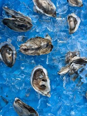 Fresh Bagaduce River Oysters on Ice at Coastal Maine Restaurant Dock © rocksandstuff