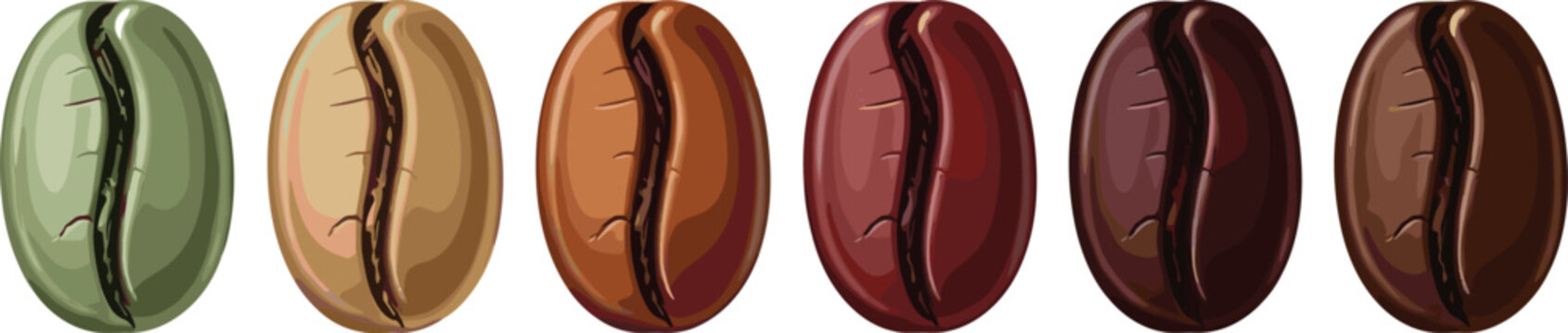 Realistic coffee beans vector collection with different roast colors for cafe packaging and beverage design