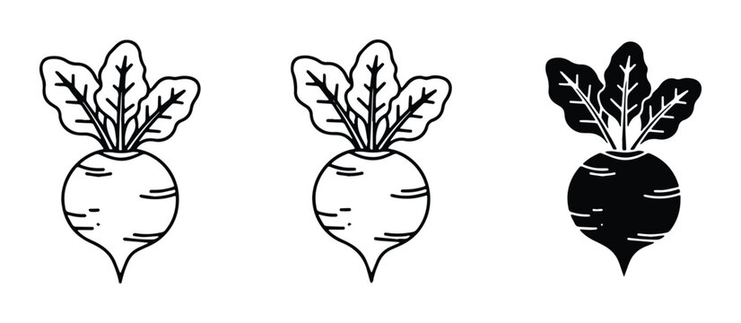Beetroot Vector Icons, Root Vegetable Illustrations, Fresh Produce Graphics, Organic Food Art, Healthy Eating Symbols