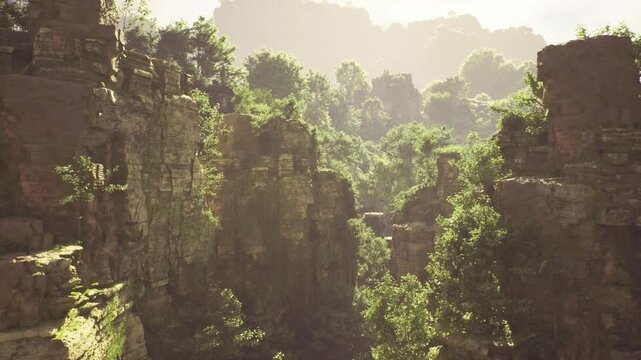 Misty canyon ravine with layered cliffs, soft backlight filtering through dense canopy, deep shadowed crevices and ethereal haze creating cinematic mood