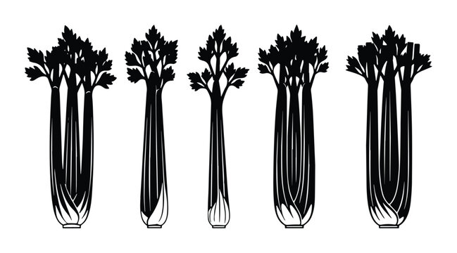 Black Celery Stalks Vector Set, Fresh Vegetable Illustrations, Healthy Food Graphics, Organic Produce Icons