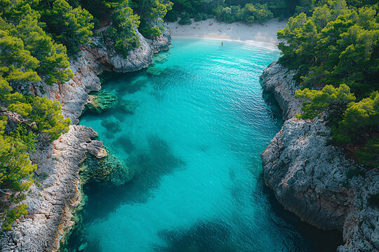 Secluded turquoise cove framed by towering rocky cliffs and lush pine forest, with sunlit shallows, gentle waves, and distant beachgoers relaxing on soft sand.