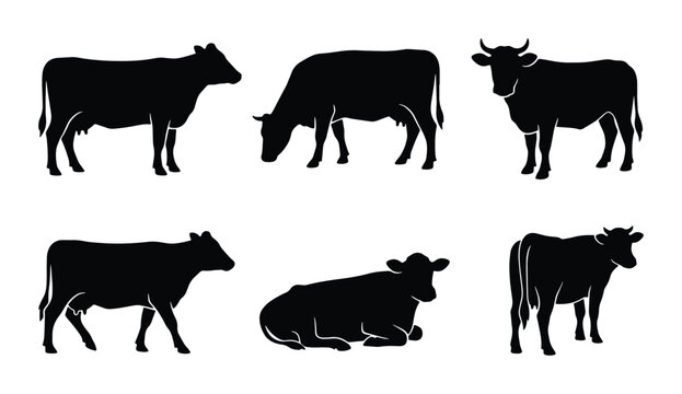 Set of 6 black cow silhouettes vector illustrations for agricultural and livestock design
