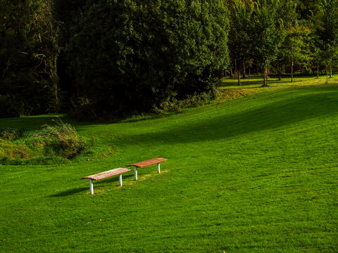 Sunlit bench sits quietly on green grass. Trees loom softly behind, bathed in golden light. Shade and sun dance across the meadow's gentle slope. Perfect for quiet moments or peaceful outdoor scenes
