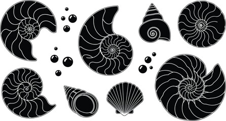 Nautilus Shell and Ammonite Fossil Vector Silhouette Set with Marine Seashell Graphics and Underwater Ocean Water Bubbles © Firoz