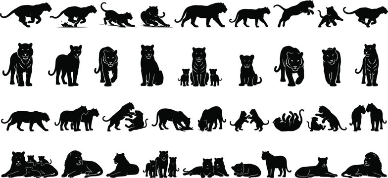 Black Panther Silhouette Collection with Walking Sitting Jumping Fighting and Resting Wild Cat Poses