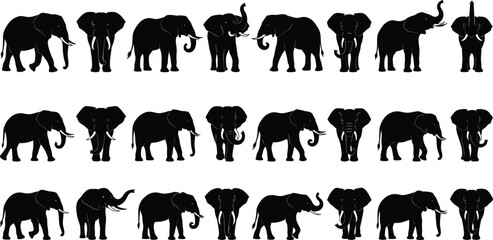 Elephant Silhouette Collection with Walking Standing and Raised Trunk Wildlife Animal Pose Variations © Shariyar