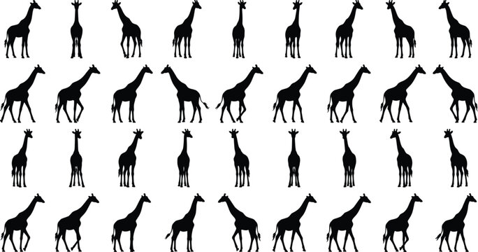 Giraffe Silhouette Collection with Standing Walking and Front View African Wildlife Animal Pose Variations
