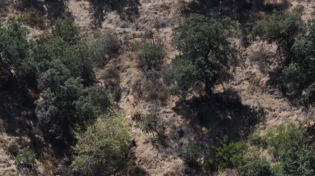 Desert Terrain Glendale California Drone Aerial View