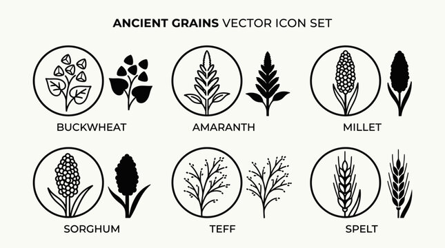 Ancient Grains Icon Set Vector Illustration for Food Packaging Design