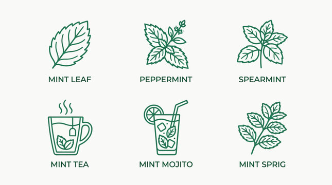 Mint Leaves and Drinks Icons for Herbal Tea and Beverage Marketing