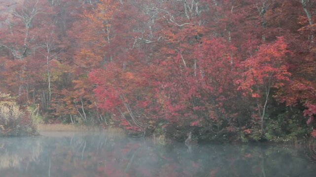 秋の鎌池に映る紅葉